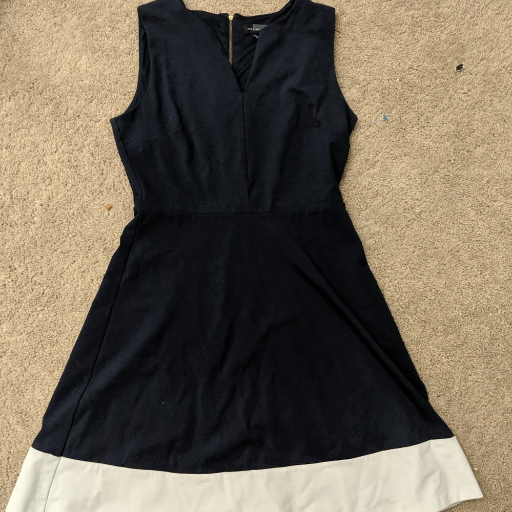 The Limited Navy and White Dress